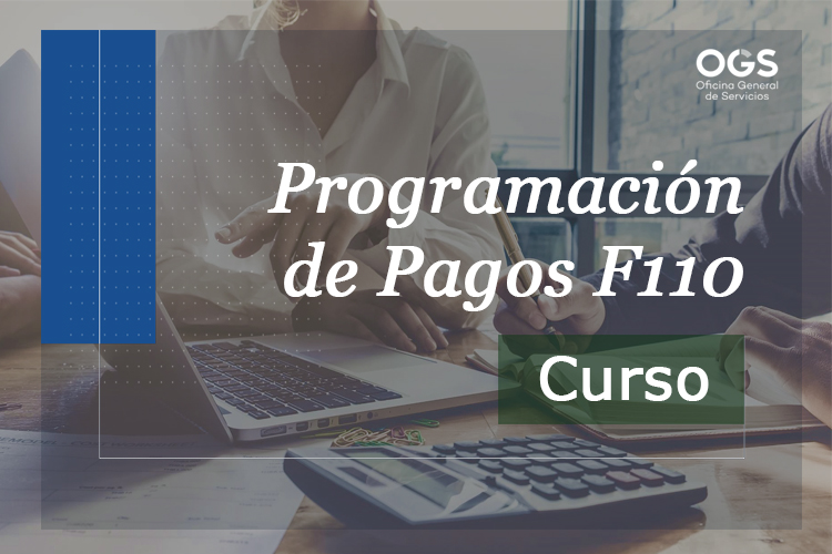 Curso Programación de Pagos F110
