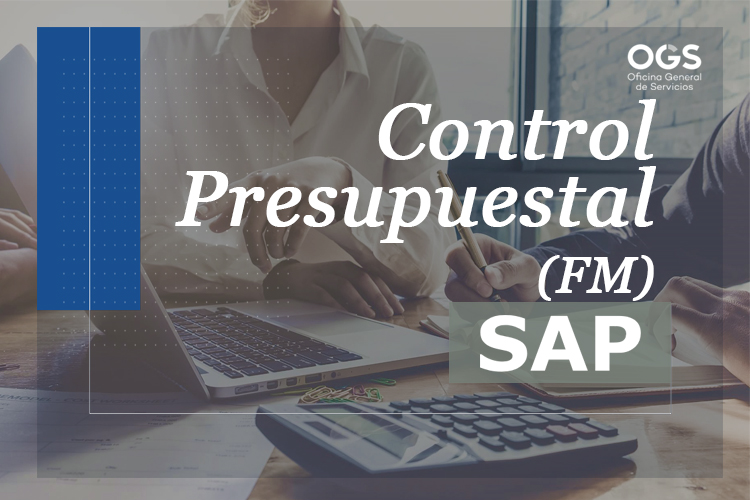 Control Presupuestal (FM)