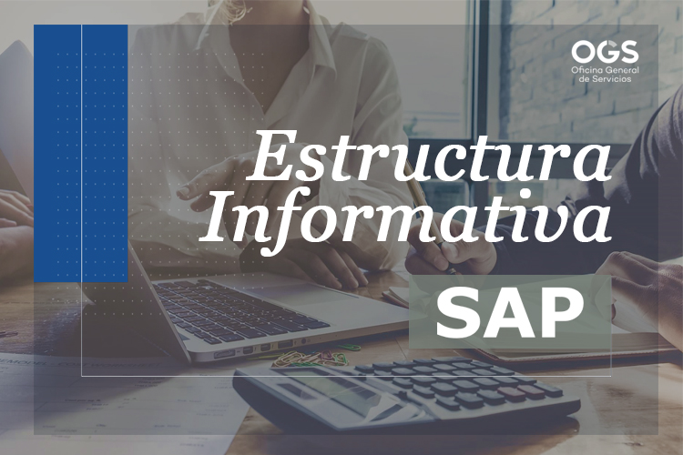 Estructura Informativa SAP