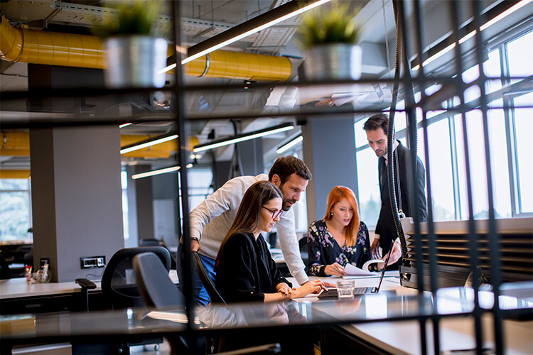 Complete Data Science Bootcamp